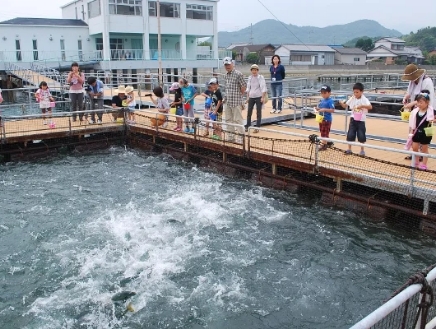 体験学習館マーレリッコ