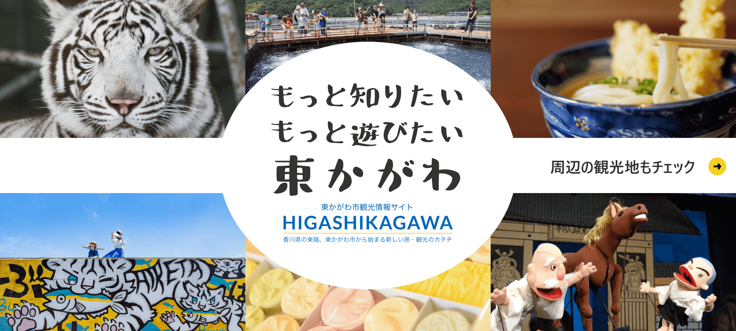 問い合わせ