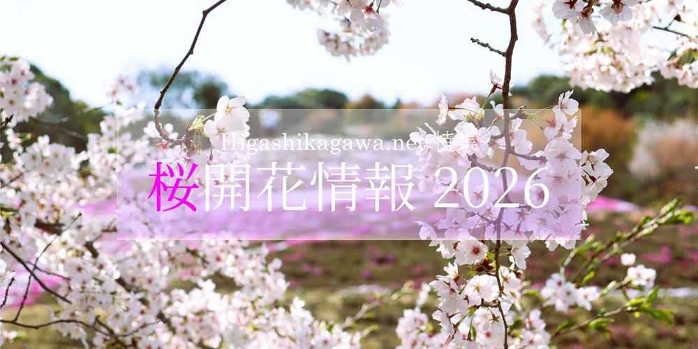 「特集」桜開花情報2026